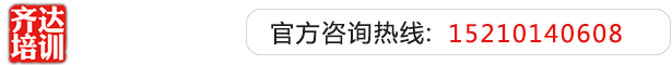 骚逼综合视频齐达艺考文化课-艺术生文化课,艺术类文化课,艺考生文化课logo